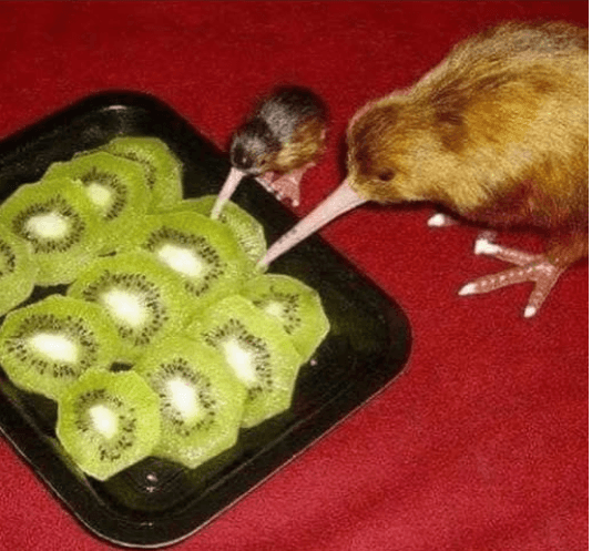 Initiation Soundboard